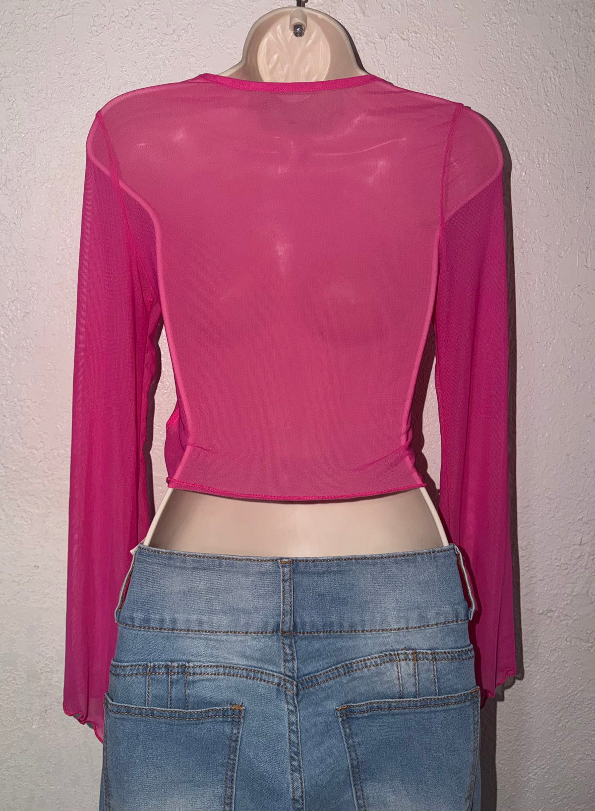 Sheer Audacity 💖 LongSleeve Top NWT