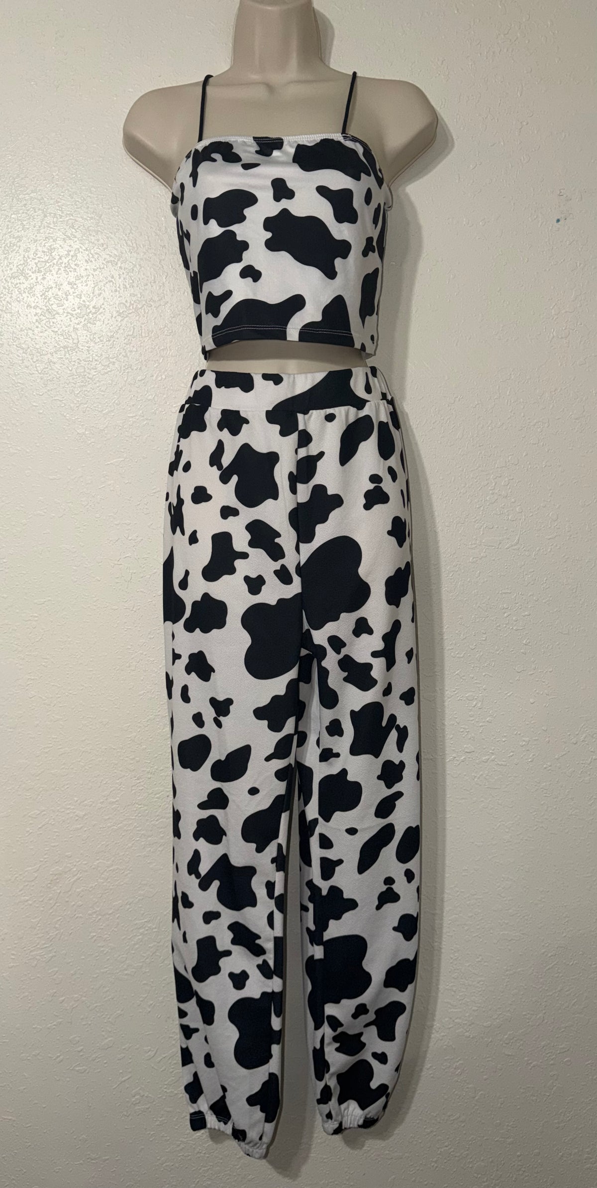 Ho Down Cutie 🐮 Two Piece EUC