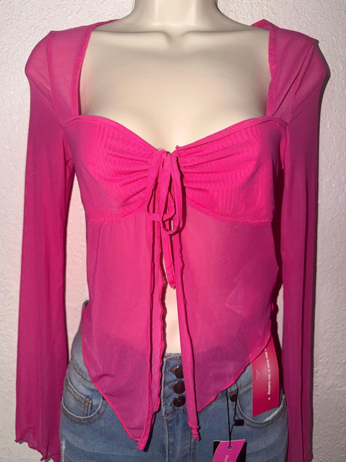 Sheer Audacity 💖 LongSleeve Top NWT