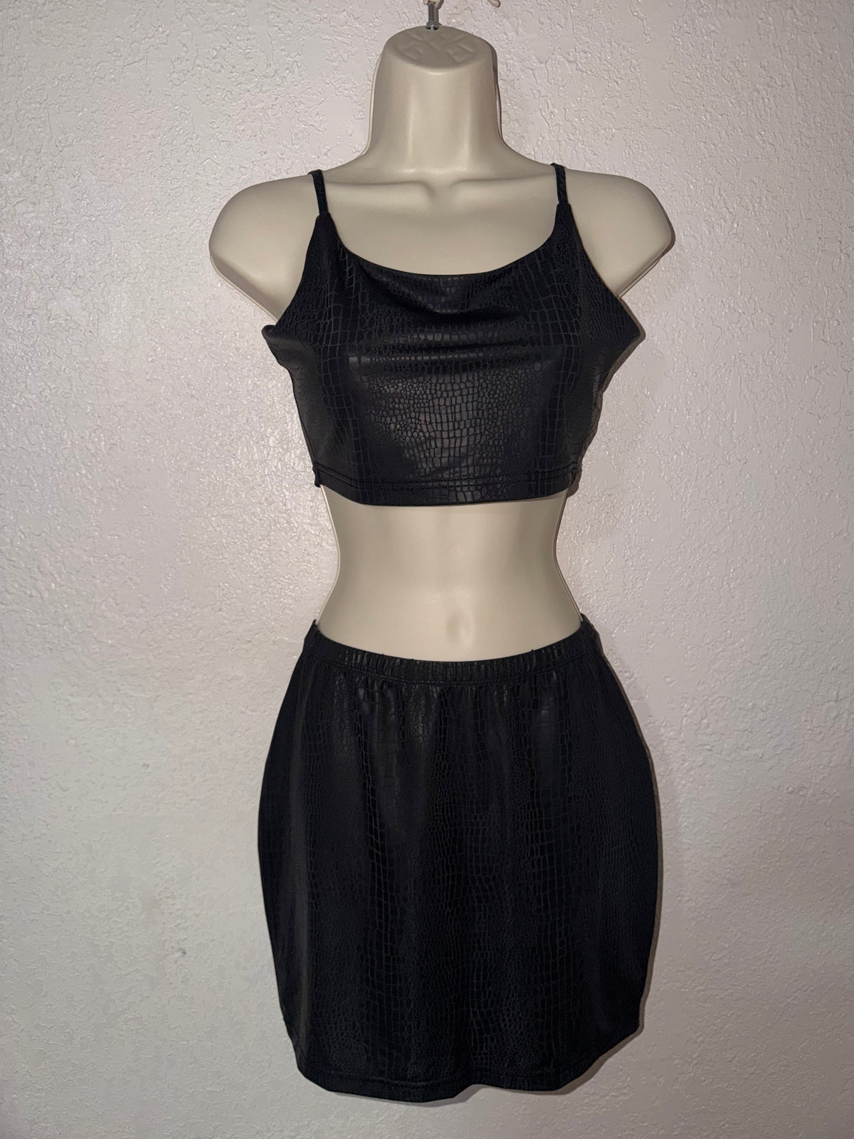 Snake Skin Two Piece Set 🐍 EUC
